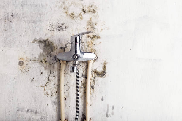 Best Mold Removal Near Me  in Old Saybrook Center, CT