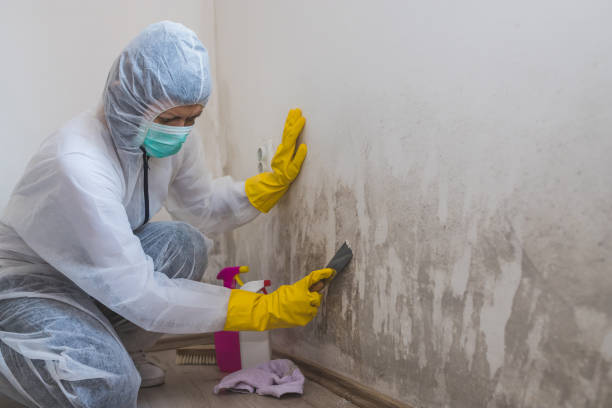 Crawl Space Mold Removal in Old Saybrook Center, CT