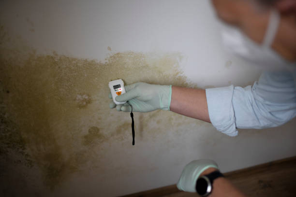 Best Mold Testing  in Old Saybrook Center, CT