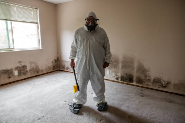 Certified Mold Removal in Old Saybrook Center, CT
